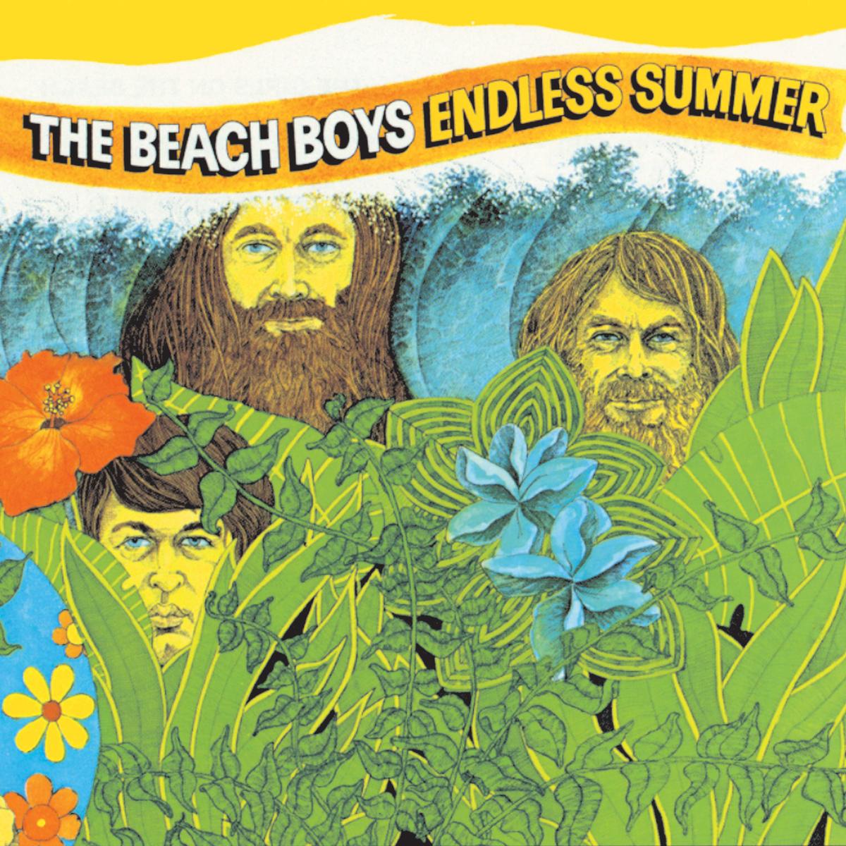 高橋徹也 - The Endless Summer The Beach Boys - Endless Summer 2LP - Capitol Store