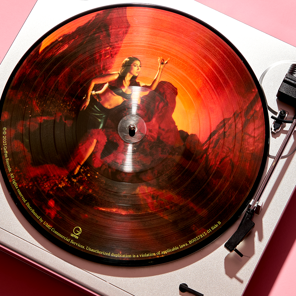 Red Moon in Venus Picture Disc Vinyl