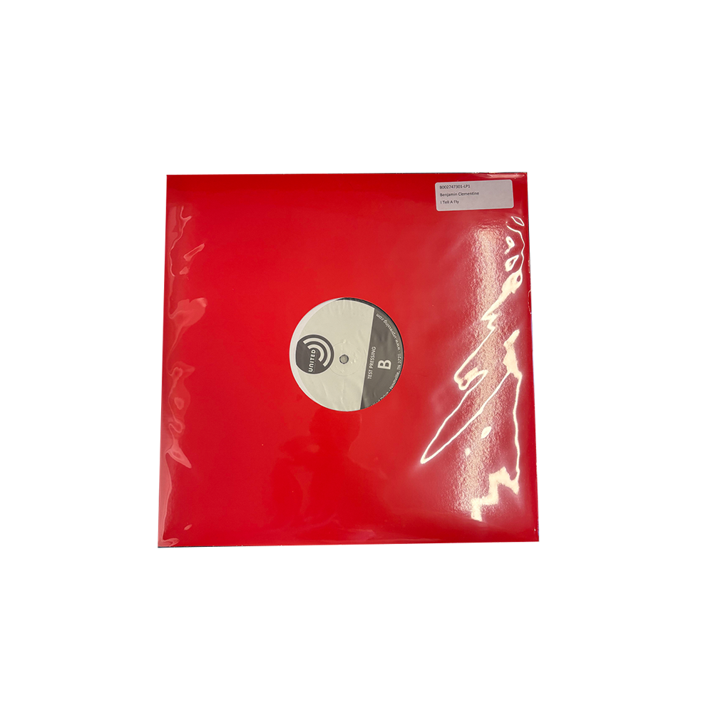 I Tell A Fly Test Pressing