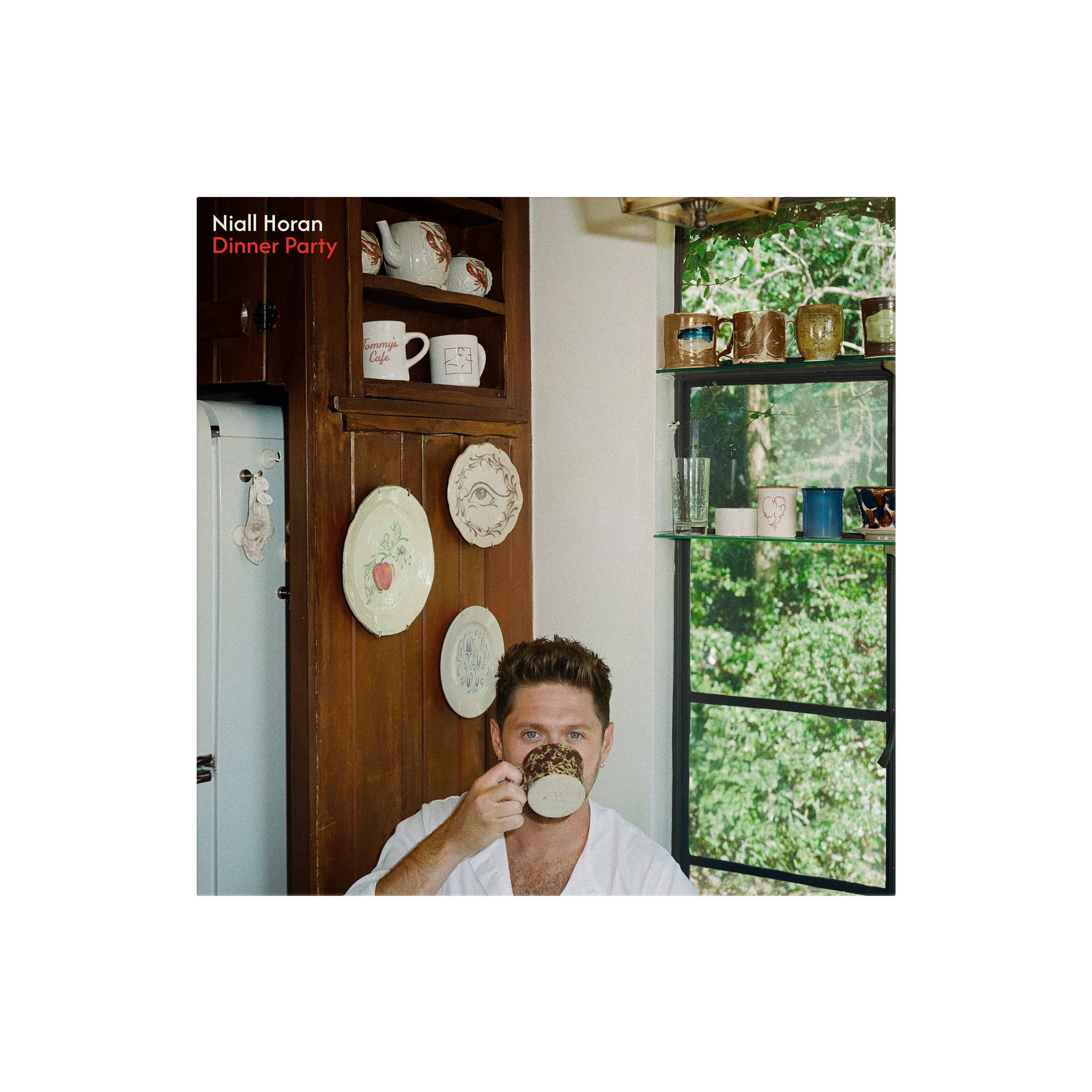 Dinner Party - Porcelain Vinyl #5