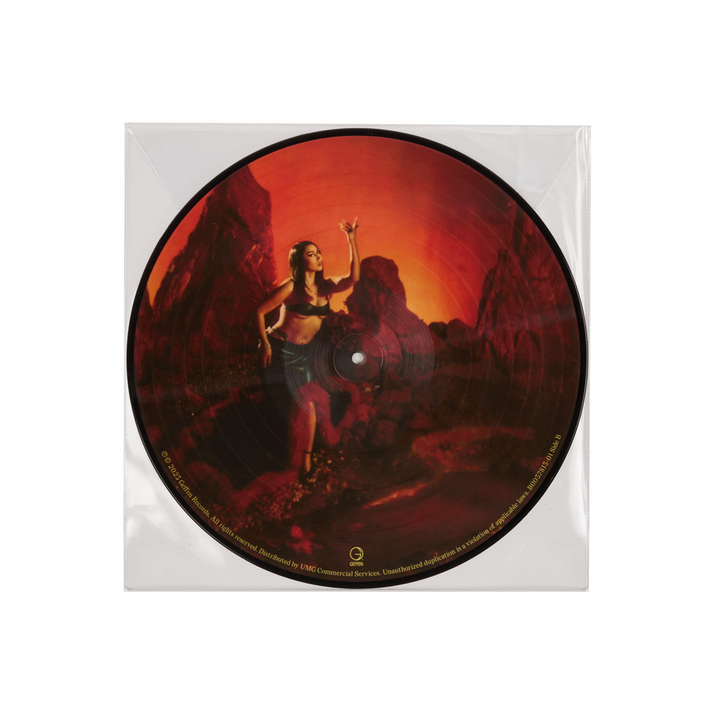 Red Moon in Venus Picture Disc Vinyl back