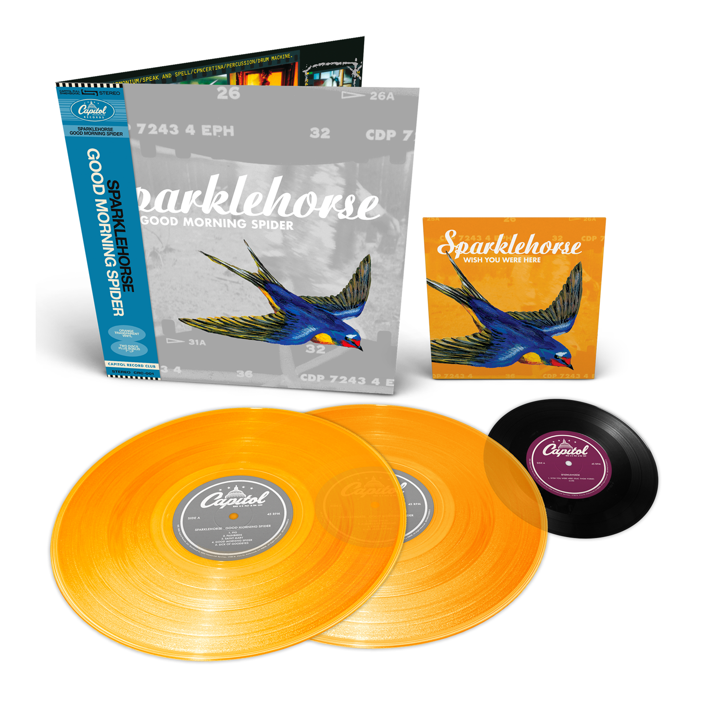 Good Morning Spider Vinyl Packshot
